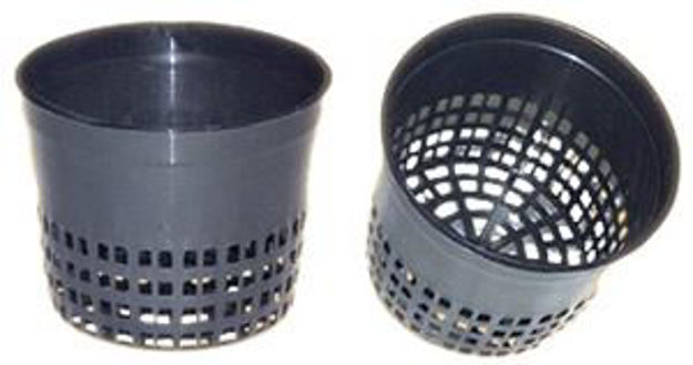 Picture of 6 inch round pot with mesh bottom