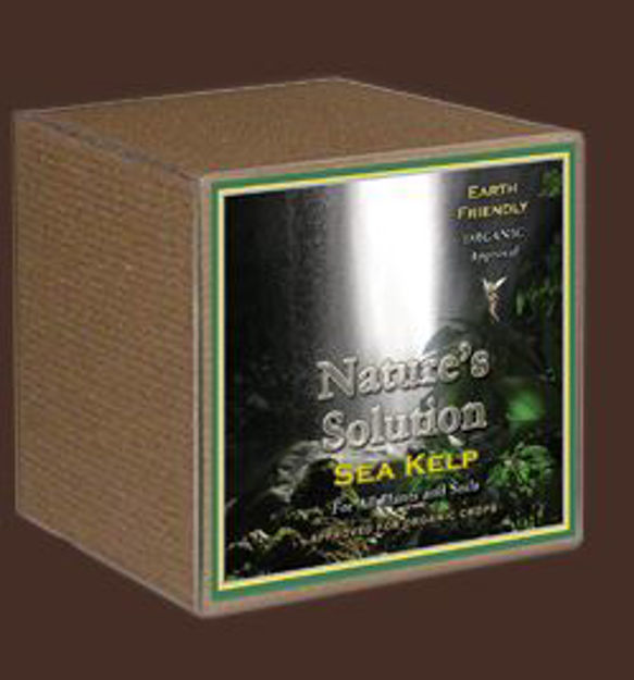 Picture of Organic Sea Kelp 8oz