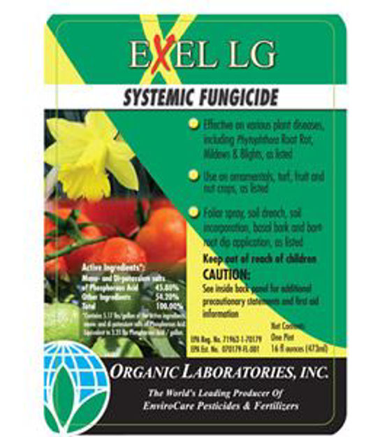 Picture of Exel Systemic Fungicide Concentrate Pt