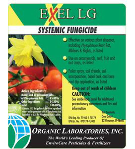 Picture of Exel Systemic Fungicide Concentrate Quart