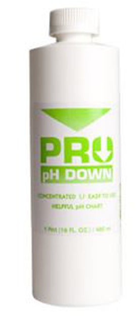 Picture of Pro pH Down 1 pt, case of 12