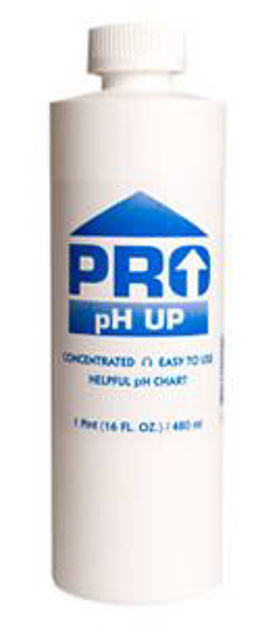 Picture of Pro pH Up 1 pt, case of 12