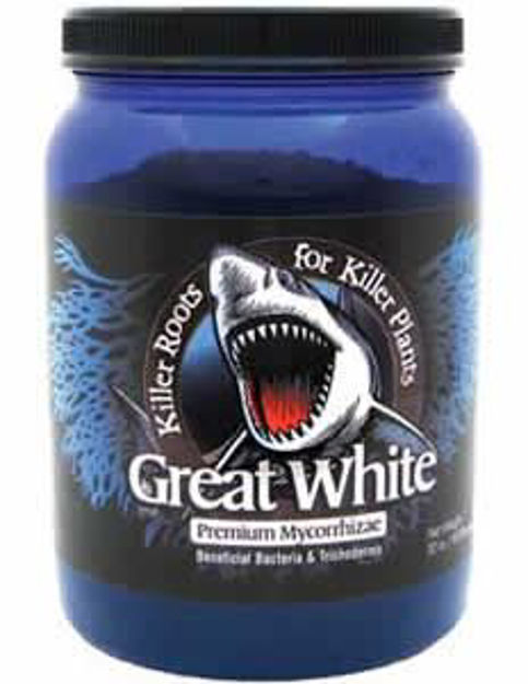 Picture of Great White 4 oz.