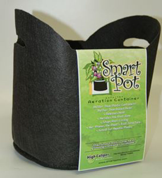 Picture of 3 Gallon Smart Pot w/ Handle 10"x7.5"