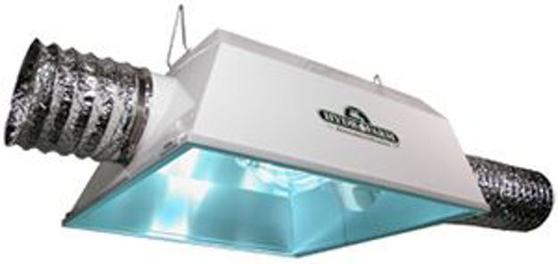 Picture of Radiant 8" Air Cooled Reflector (includes lens)
