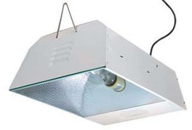Picture of Sunburst 175W MH (no bulb)