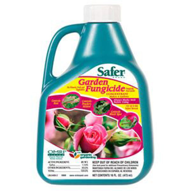 Picture of Safer Garden Fung Conc 16oz