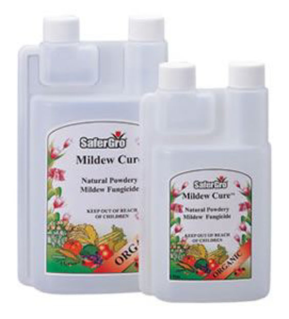 Picture of Mildew Cure, 1 pt