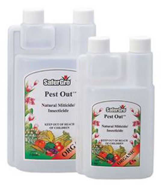 Picture of Pest Out, 1 pt
