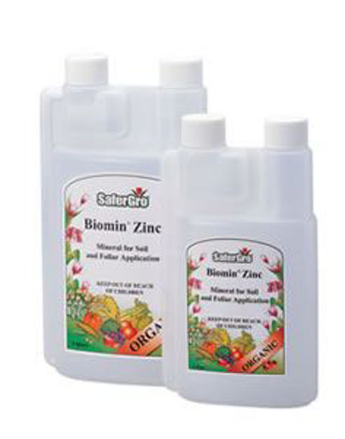 Picture of Biomin Iron, 1 qt