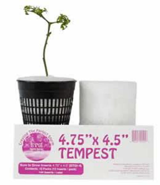 Picture of TEMPEST / 4.75"x 4.45" packs of 12,12 packs/case