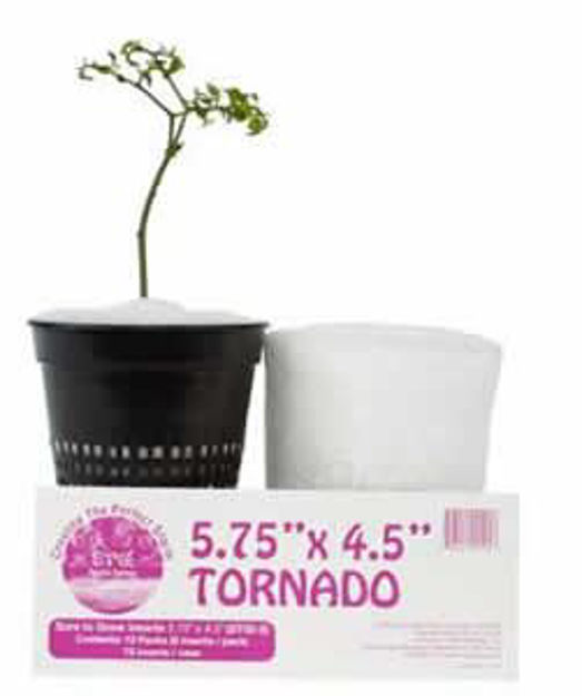 Picture of TORNADO / 6"x4.75" packs of 6,12 packs/case