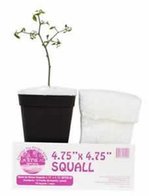 Picture of SQUALL Square / 4.75"x 6", 12 packs of 6 per case