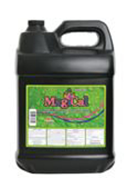 Picture of Magical 20 Liter