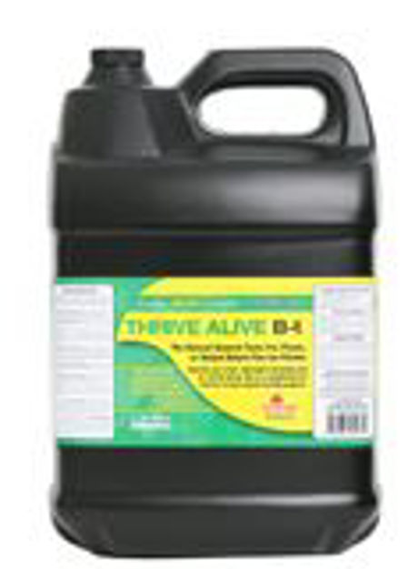 Picture of Thrive Alive B1 Green, 10 lt
