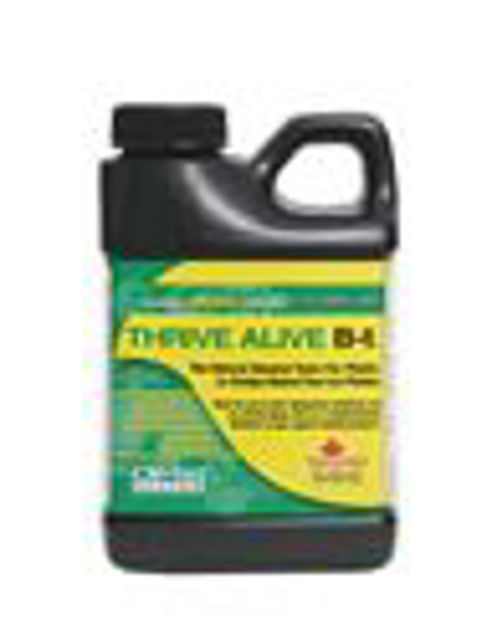 Picture of Thrive Alive B1 Green, 20 lt