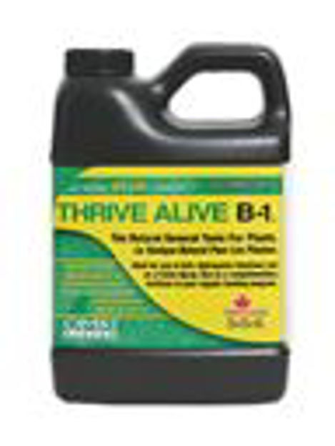 Picture of Thrive Alive B1 Green, 500ml