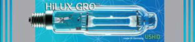 Picture of Ushio 600W Super MH Conversion Bulb