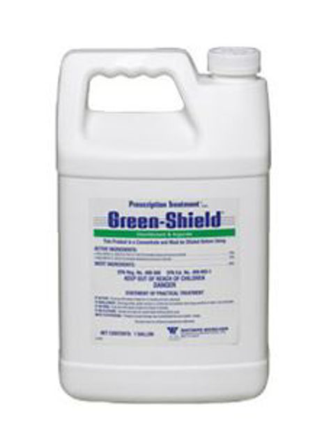Picture of Green Shield CA Disinfectant and Algicide, 1 gal