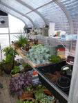 Picture of Sunglo 1200G Greenhouse