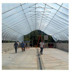 Picture of 26x12x28 Solar Star Gothic Greenhouse with Polycarbonate Ends and...