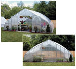 Picture of 26x12x28 Solar Star Gothic Greenhouse with Polycarbonate Top and...