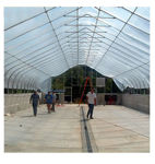 Picture of 26x12x36 Solar Star Gothic Greenhouse System with Polycarbonate...