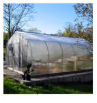 Picture of 26x12x36 Solar Star Gothic Greenhouse with Polycarbonate Ends and...