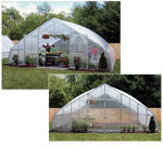 Picture of 26x12x36 Solar Star Gothic Greenhouse with Polycarbonate Ends and...