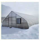 Picture of 26x12x48 Solar Star Gothic Greenhouse with Polycarbonate Ends and...