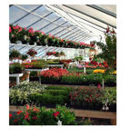 Picture of 30x12x48 Solar Star Gothic Greenhouse System with Polycarbonate...